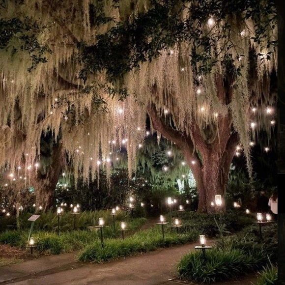 Williams Sonoma Accents Enchanted Forest Vibes Spanish Moss Wedding Decor Witchy Aesthetics